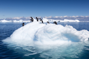 climate funds