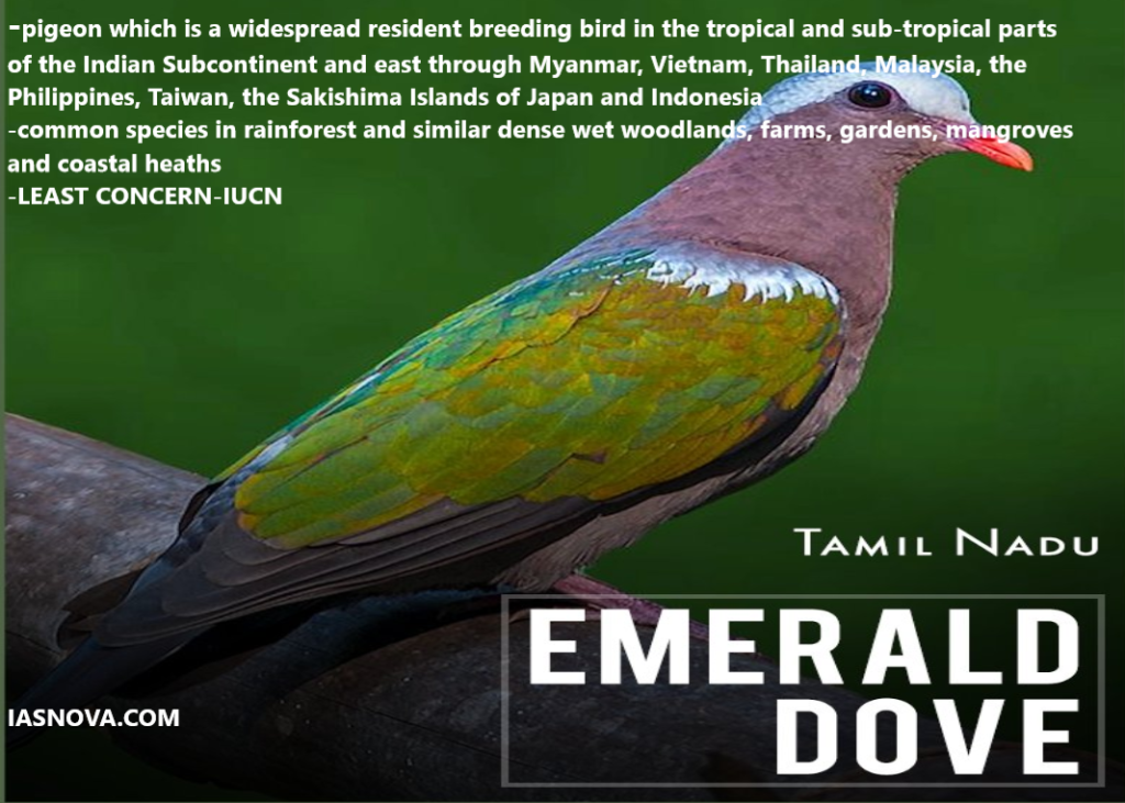 List Of State Birds And Endangered Birds In India Ias Nova