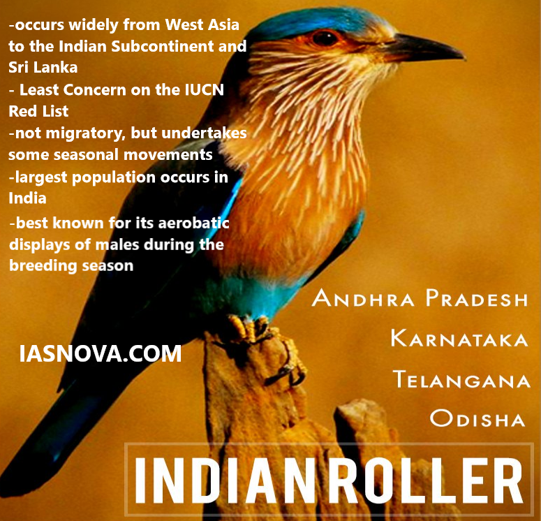 LIST OF STATE BIRDS AND ENDANGERED BIRDS IN INDIA – IAS NOVA