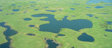 wetlands